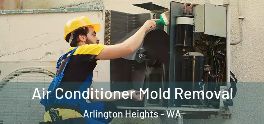 Air Conditioner Mold Removal Arlington Heights - WA