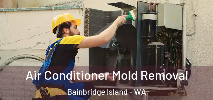 Air Conditioner Mold Removal Bainbridge Island - WA