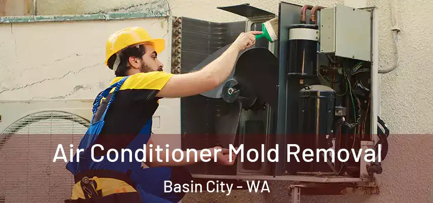 Air Conditioner Mold Removal Basin City - WA