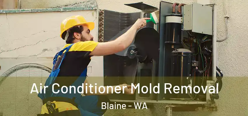  Air Conditioner Mold Removal Blaine - WA