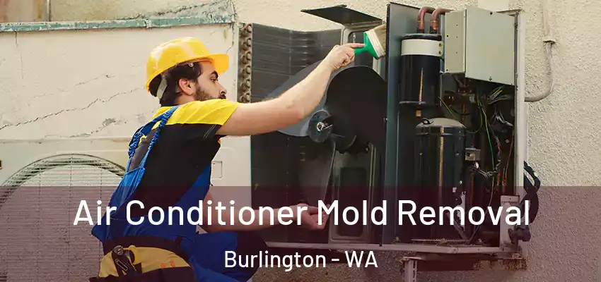  Air Conditioner Mold Removal Burlington - WA