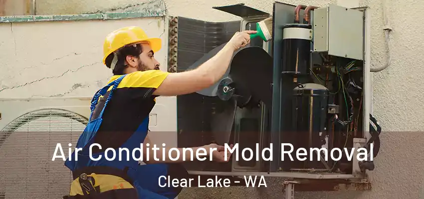  Air Conditioner Mold Removal Clear Lake - WA