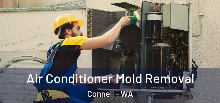  Air Conditioner Mold Removal Connell - WA