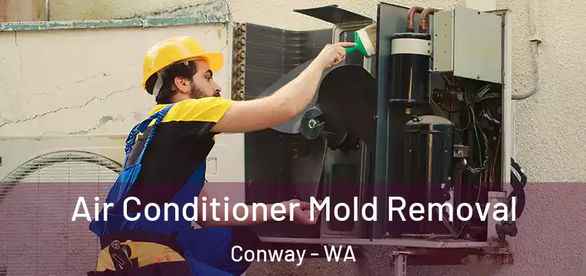  Air Conditioner Mold Removal Conway - WA