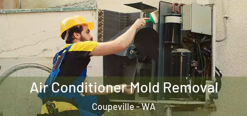 Air Conditioner Mold Removal Coupeville - WA