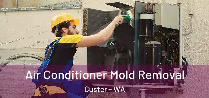  Air Conditioner Mold Removal Custer - WA