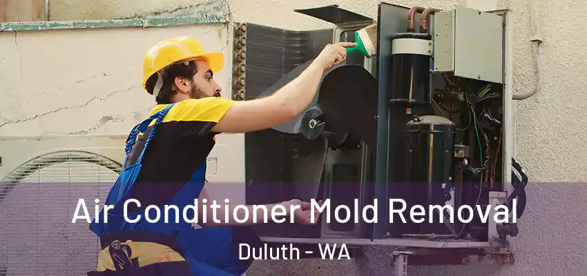  Air Conditioner Mold Removal Duluth - WA