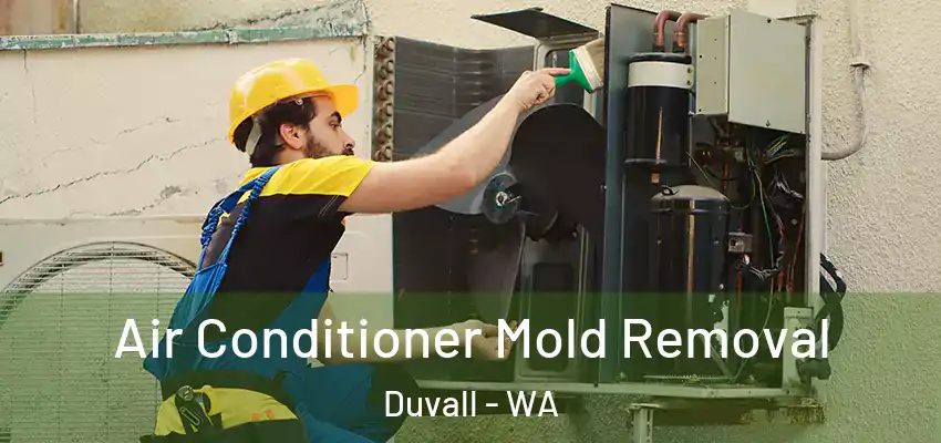  Air Conditioner Mold Removal Duvall - WA