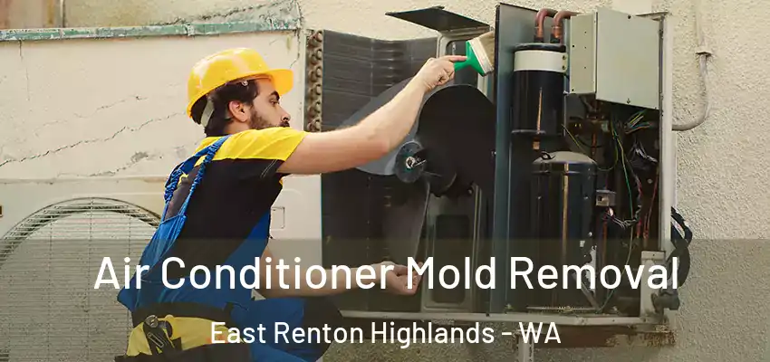  Air Conditioner Mold Removal East Renton Highlands - WA