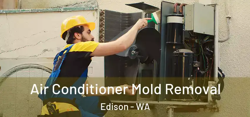  Air Conditioner Mold Removal Edison - WA