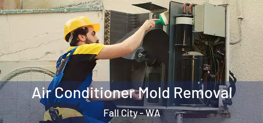  Air Conditioner Mold Removal Fall City - WA