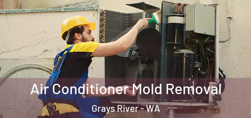  Air Conditioner Mold Removal Grays River - WA