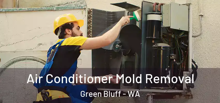  Air Conditioner Mold Removal Green Bluff - WA