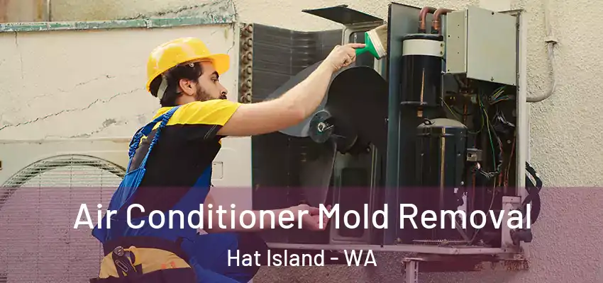  Air Conditioner Mold Removal Hat Island - WA