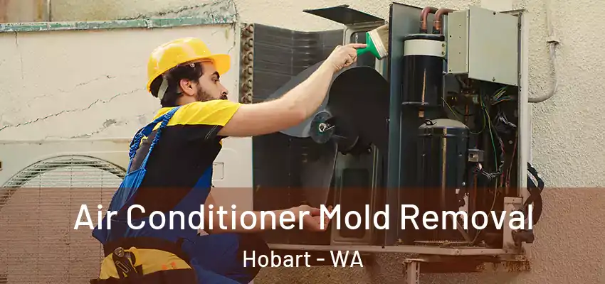  Air Conditioner Mold Removal Hobart - WA