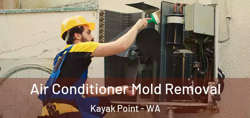  Air Conditioner Mold Removal Kayak Point - WA