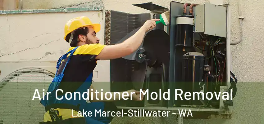  Air Conditioner Mold Removal Lake Marcel-Stillwater - WA