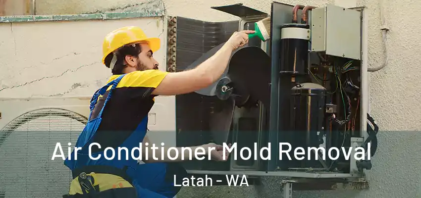 Air Conditioner Mold Removal Latah - WA