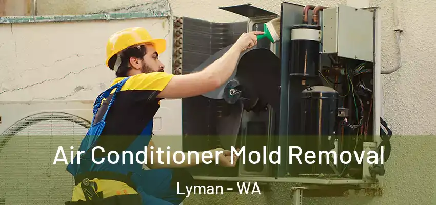  Air Conditioner Mold Removal Lyman - WA