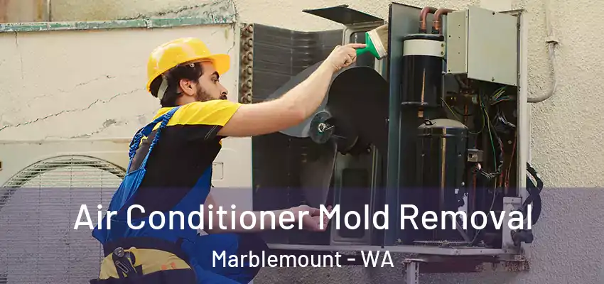  Air Conditioner Mold Removal Marblemount - WA