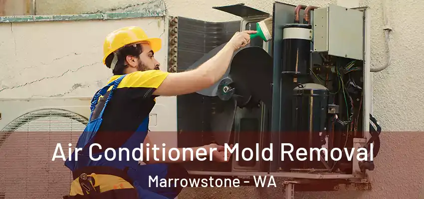 Air Conditioner Mold Removal Marrowstone - WA