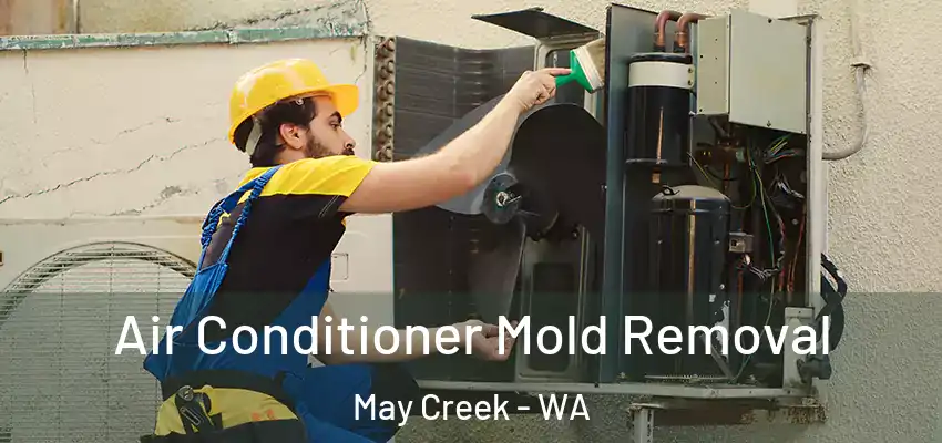 Air Conditioner Mold Removal May Creek - WA