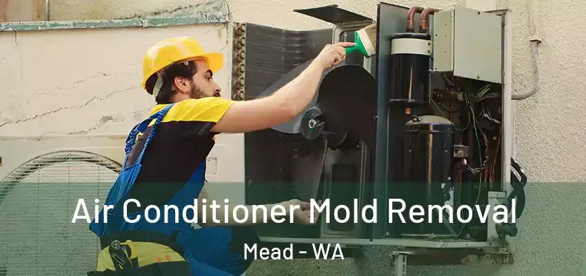  Air Conditioner Mold Removal Mead - WA