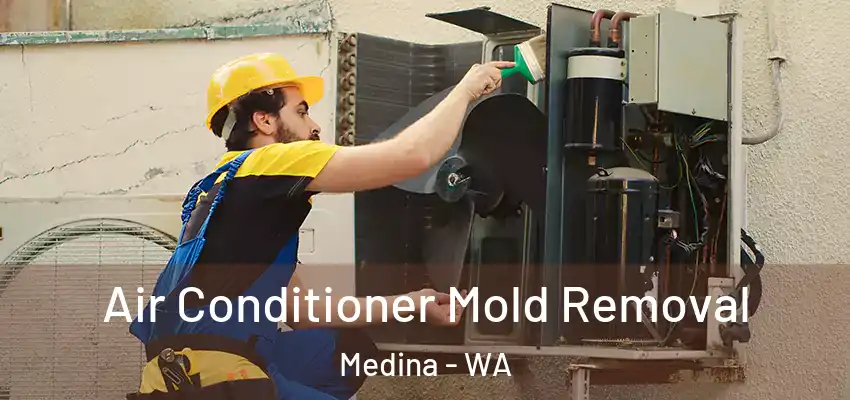  Air Conditioner Mold Removal Medina - WA