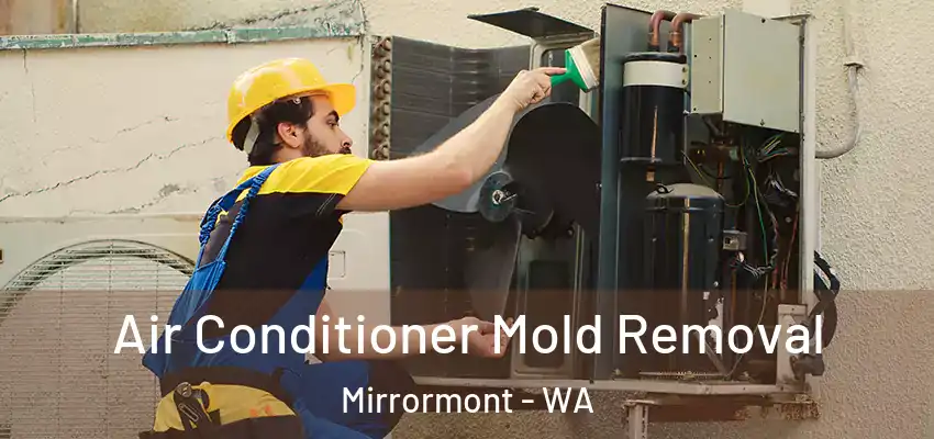  Air Conditioner Mold Removal Mirrormont - WA