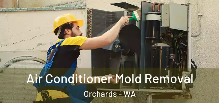  Air Conditioner Mold Removal Orchards - WA