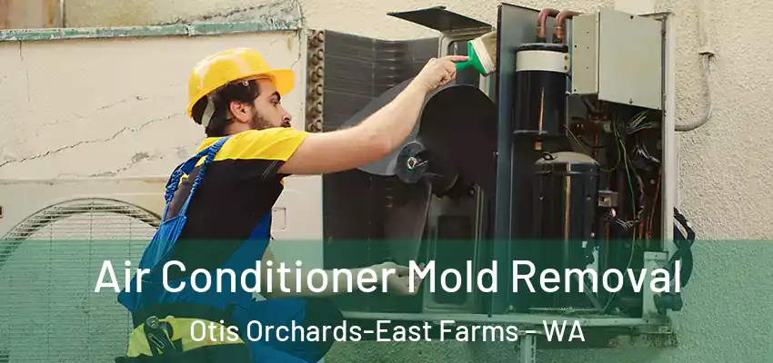 Air Conditioner Mold Removal Otis Orchards-East Farms - WA