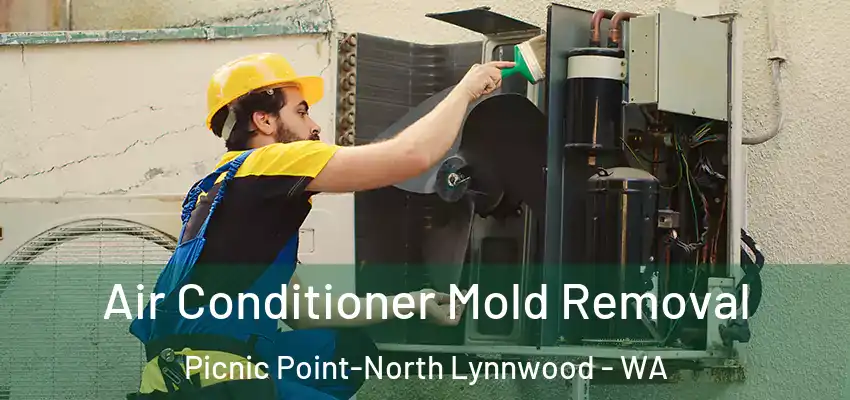  Air Conditioner Mold Removal Picnic Point-North Lynnwood - WA