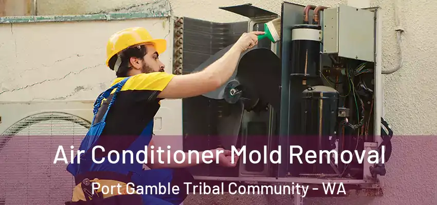 Air Conditioner Mold Removal Port Gamble Tribal Community - WA
