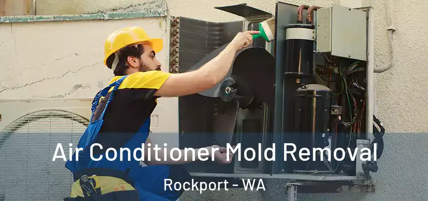  Air Conditioner Mold Removal Rockport - WA