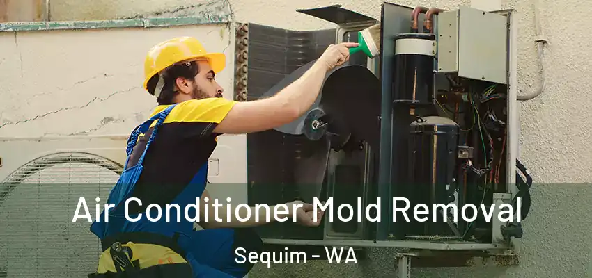  Air Conditioner Mold Removal Sequim - WA