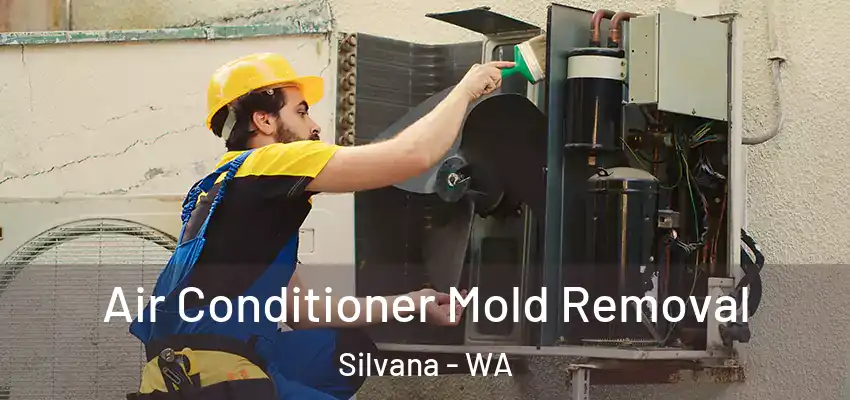 Air Conditioner Mold Removal Silvana - WA