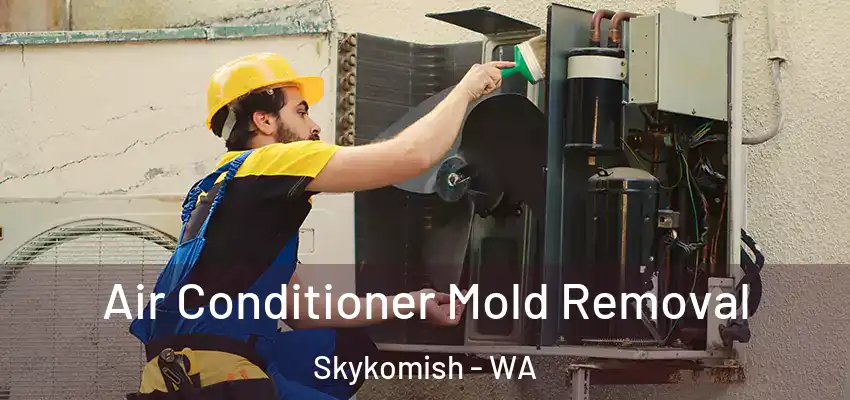  Air Conditioner Mold Removal Skykomish - WA