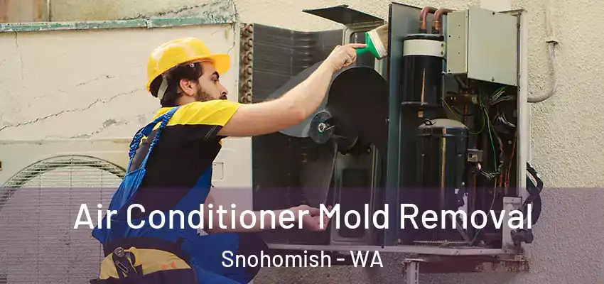  Air Conditioner Mold Removal Snohomish - WA