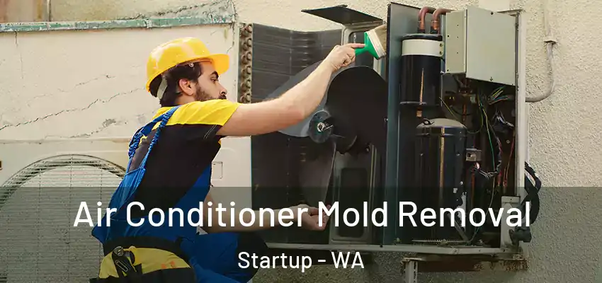  Air Conditioner Mold Removal Startup - WA