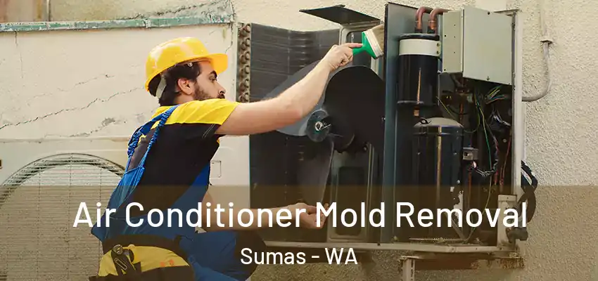  Air Conditioner Mold Removal Sumas - WA