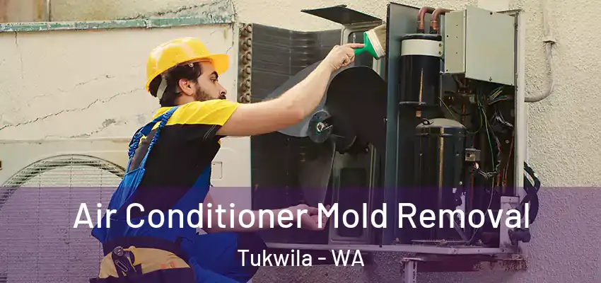  Air Conditioner Mold Removal Tukwila - WA