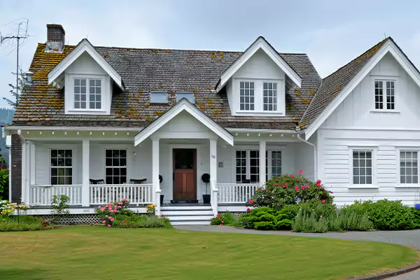 Mold Inspection Services in Bellevue, WA