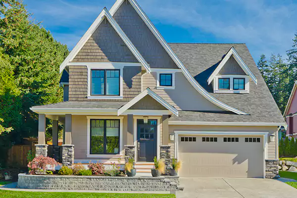 Mold On The Wall in Bellevue, WA