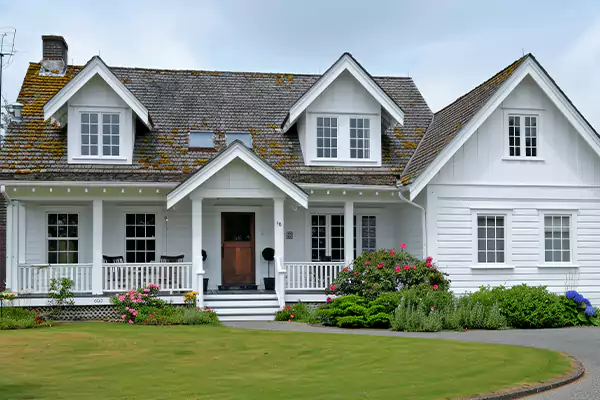 Mold Removal Services in Bellevue, WA