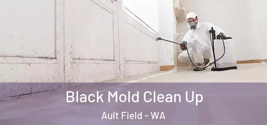  Black Mold Clean Up Ault Field - WA
