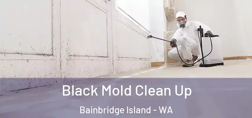 Black Mold Clean Up Bainbridge Island - WA