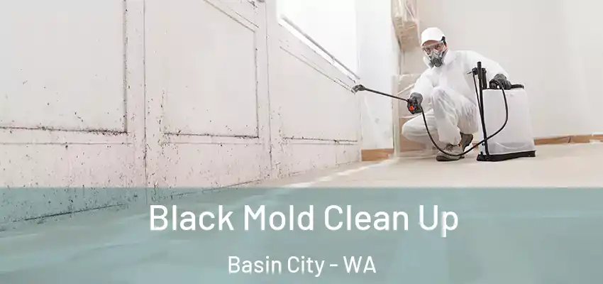  Black Mold Clean Up Basin City - WA