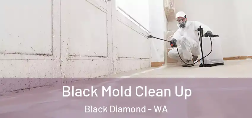  Black Mold Clean Up Black Diamond - WA