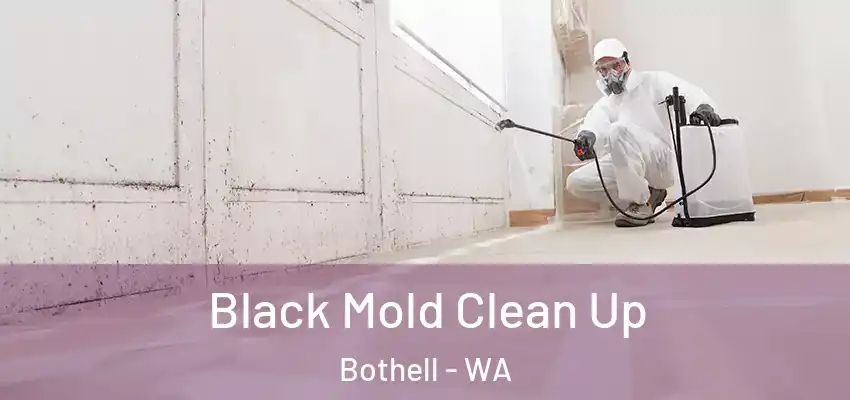  Black Mold Clean Up Bothell - WA