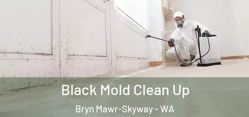  Black Mold Clean Up Bryn Mawr-Skyway - WA